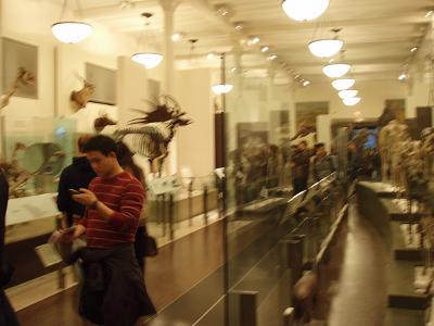 自然史博物館7.JPG